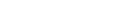 Camoit Consulting